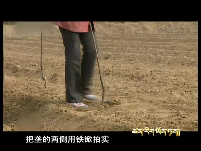 云丹學科技