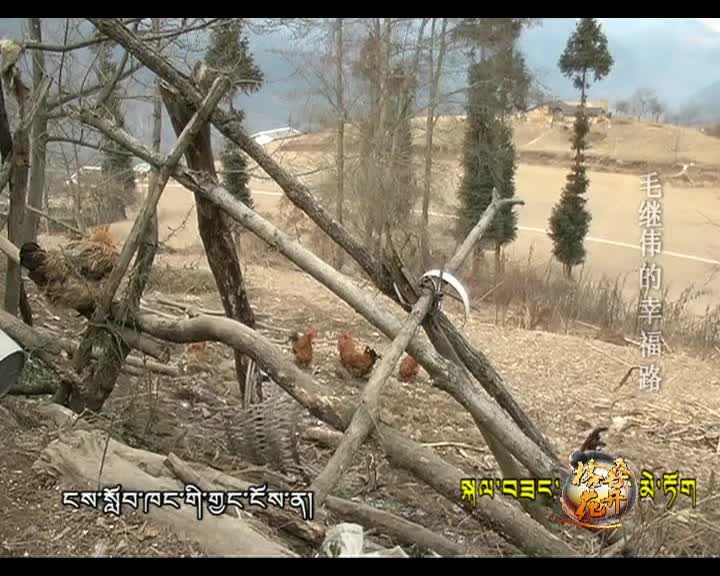 毛繼偉的幸福路（160402）