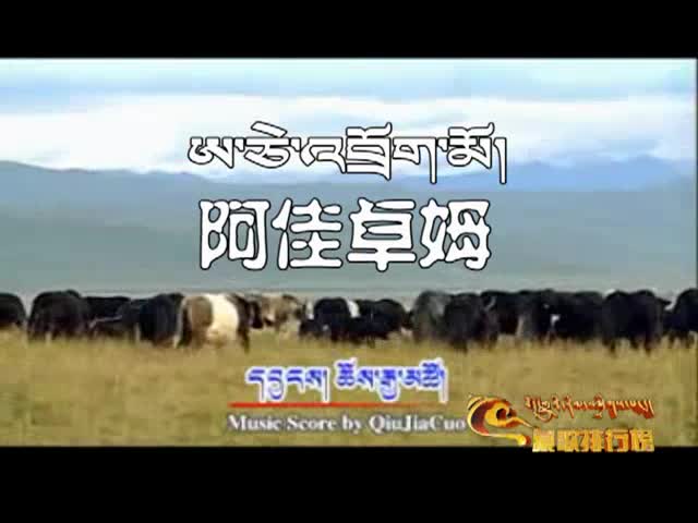 藏歌排行榜（藏語版0117）