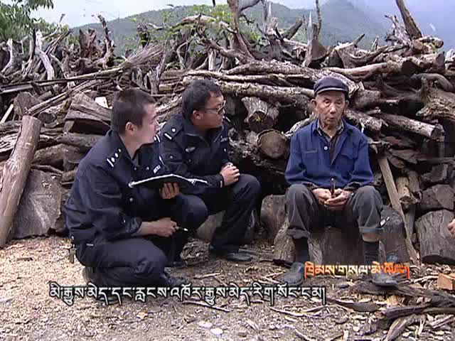 失而复得的重楼（10.16）