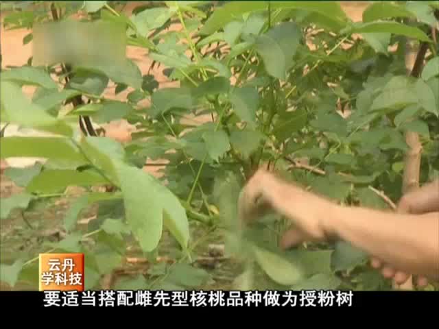 云丹學科技0226