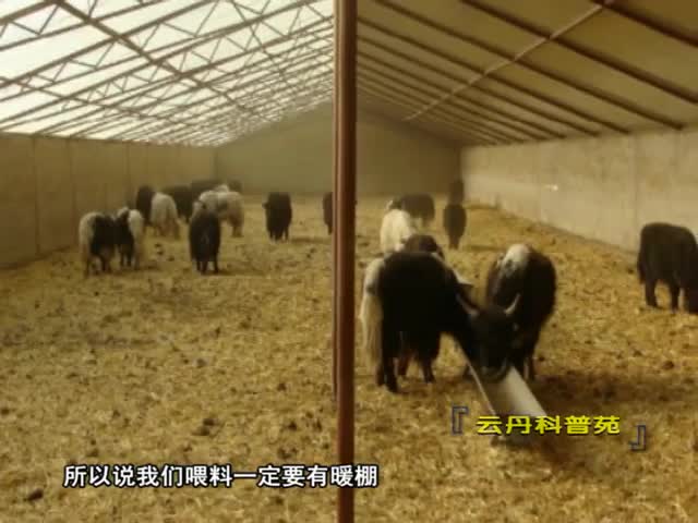 云丹科普園（11.04）