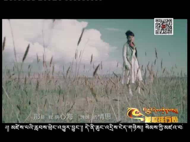藏歌排行榜（藏語版0221）