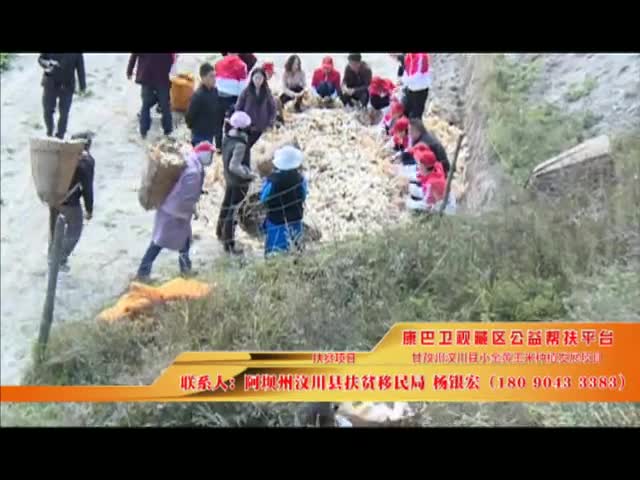 《康巴衛視藏區公益幫扶平臺》第二十一期 阿壩州汶川縣小金黃玉米種植發展項目