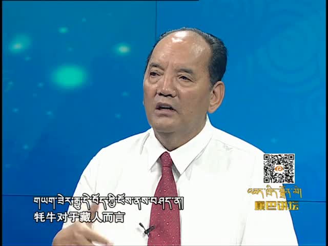 英雄格薩爾 下（11.24）