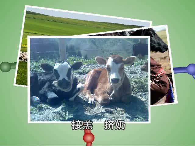 美麗的達(dá)里諾爾