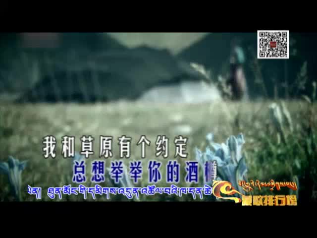藏歌排行榜（汉语版0228）