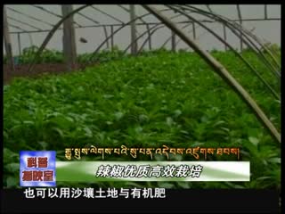 云丹學科技0521