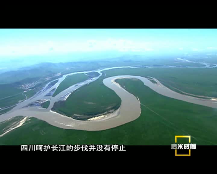 綠色三部曲(9.05)
