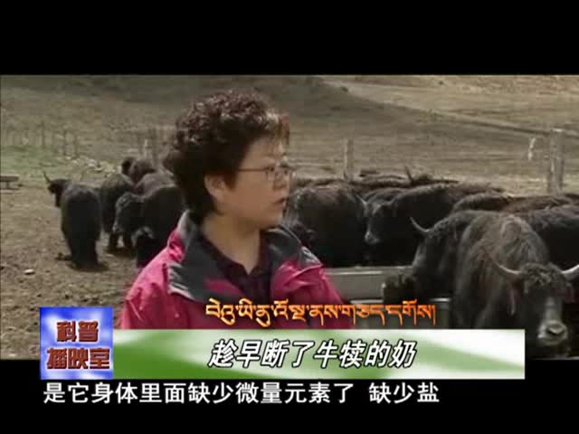 云丹學科技1105