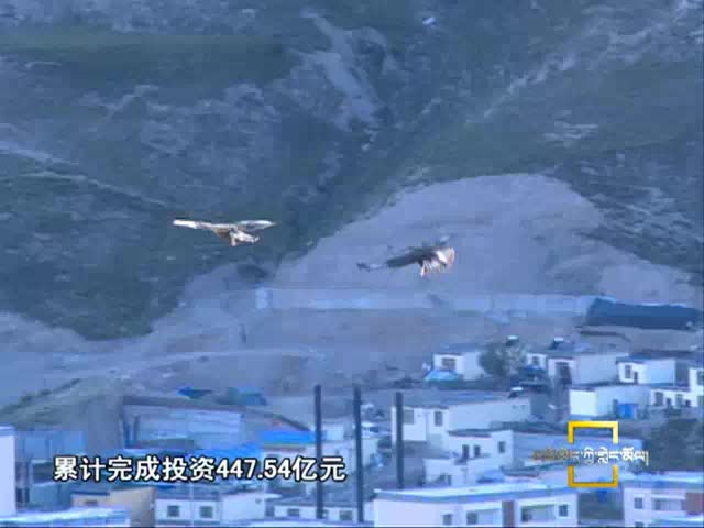 第八屆康巴文化旅游藝術節暨玉樹賽馬節側記（8.04）