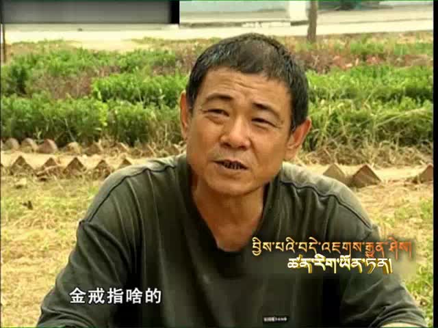 云丹學科技