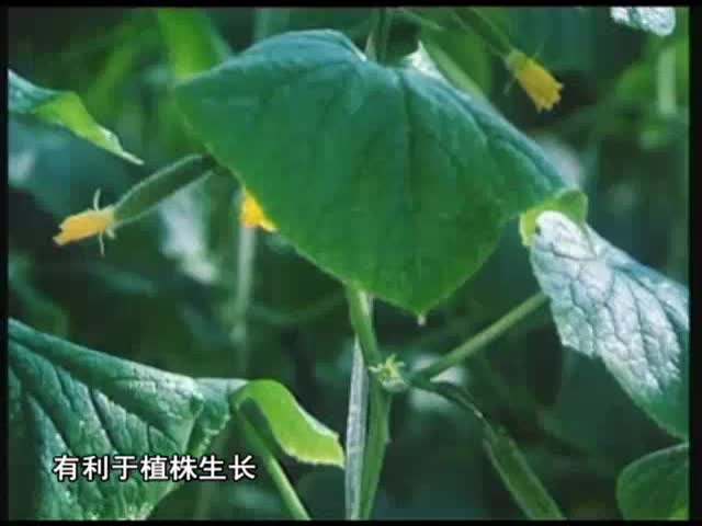 云丹学科技0612