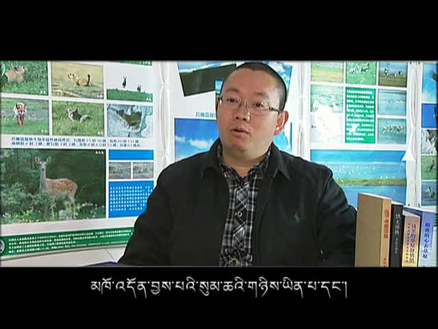 若爾蓋濕地調查(上）:濕地之憂(5.26)
