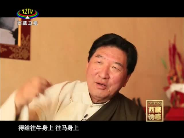 《西藏誘惑》藏茶人生