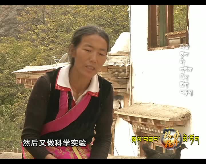 李大姐的紀錄片（160507）