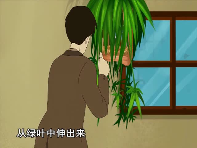 珍珠鳥 上（16.11.07）