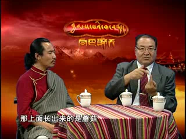 冬蟲夏草（11.08.26）
