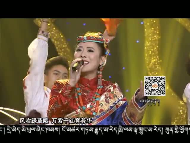 心中的香格里拉（16.02.01）