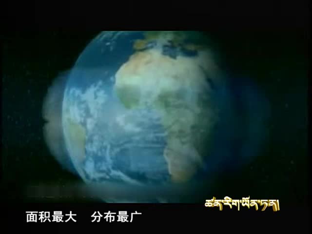 云丹學科技