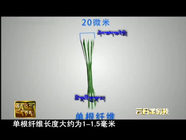 云丹學科技1023