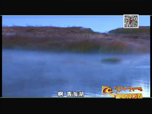 藏歌排行榜（漢語版1107）