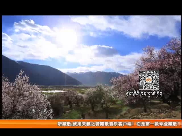 《林芝桃花香》（08.10）