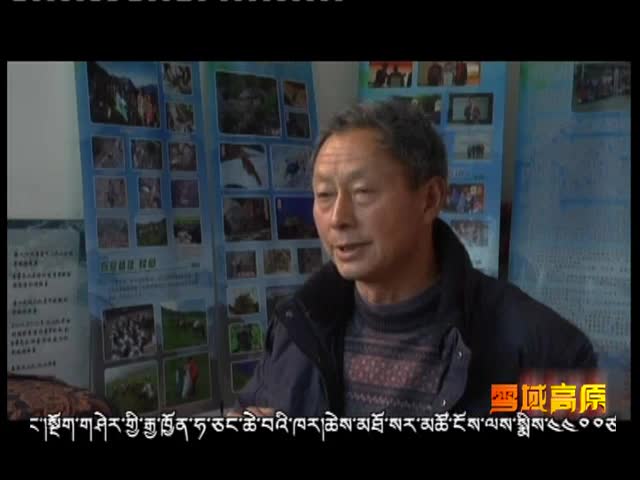 堅(jiān)守與見證（8.24）