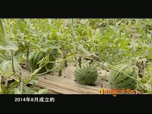 法治如何助力脫貧攻堅（01.05）