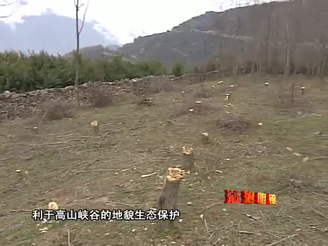 保護(hù)區(qū)的守護(hù)者（12.24）