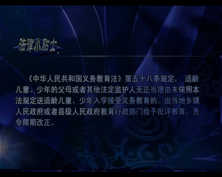 一生中的法律（02.11）