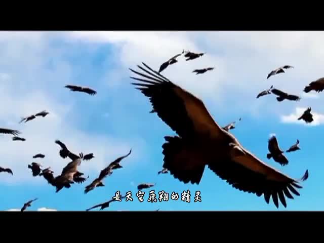 雪山我的風景漢語版