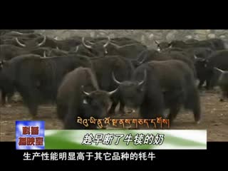 云丹學科技1029