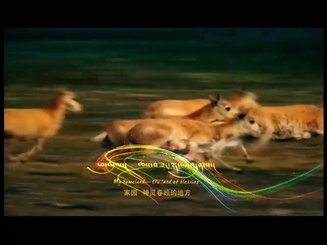 崗日雜塘宣傳片4