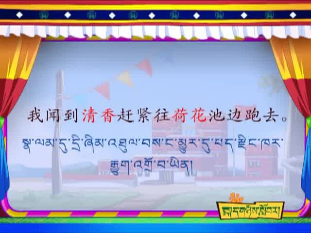 荷花（上）（1.9）
