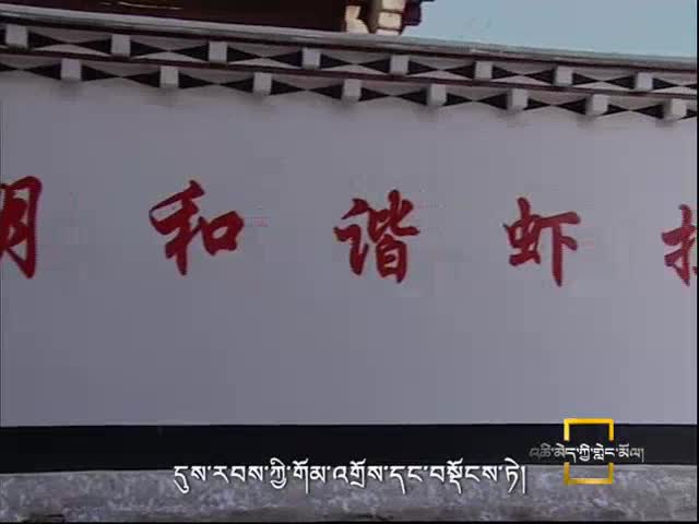 幸福蝦拉沱