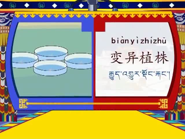飛船上的特殊乘客（中）（16.02.25）
