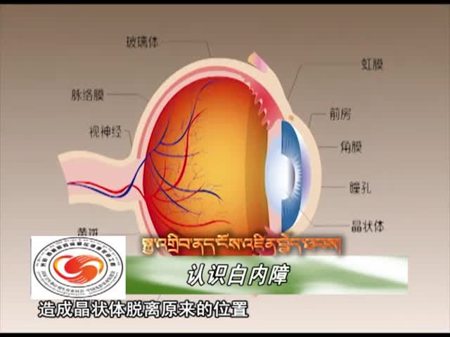 云丹學科技1119