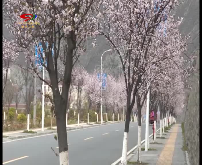 理縣：十里桃花醉春風