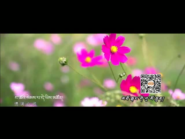高原好姐妹（16.06.06）