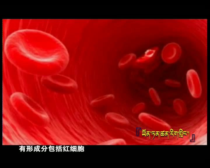 云丹科普苑（04.06)