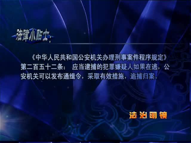天網恢恢（9.10）