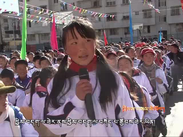 法律伴我成長(zhǎng)（下）（3.13）