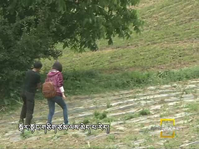 大山里的生態產業致富路（6.30）