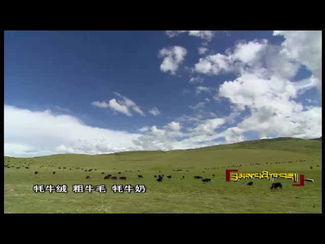 感受曲麻萊民俗文化（01.09）