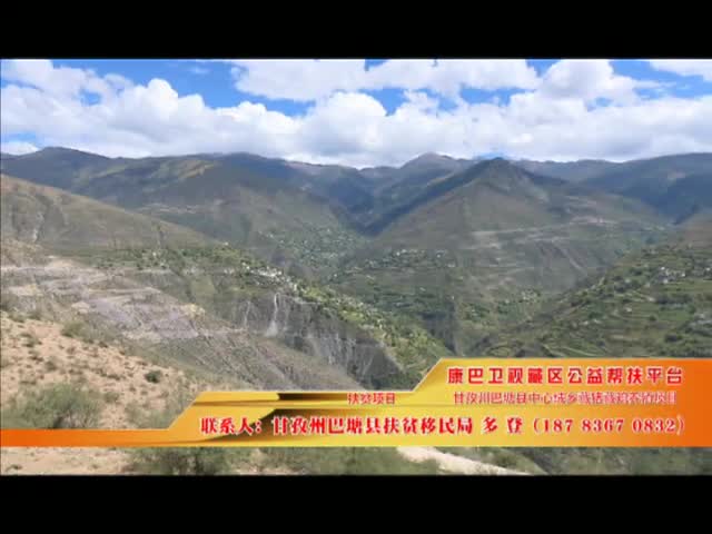 《康巴衛視藏區公益幫扶平臺》第十八期 甘孜州巴塘縣中心絨鄉藏豬藏雞養殖項目