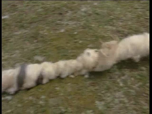 王海兵——《藏北人家第三集》