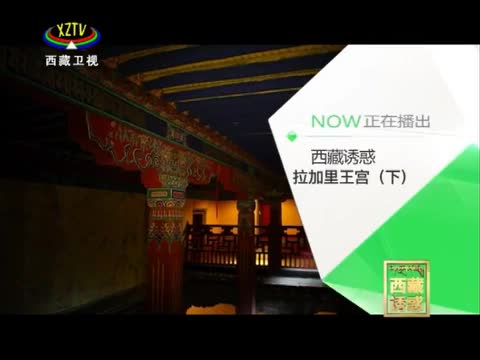 《西藏誘惑》拉加里王宮（下）