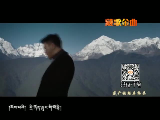 風中的菩提（11.16）