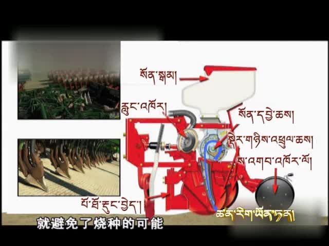 云丹學科技